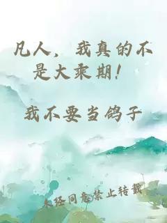 凡人，我真的不是大乘期！