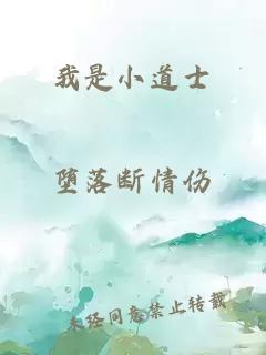 我是小道士
