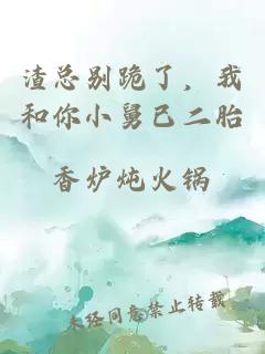 渣总别跪了，我和你小舅已二胎