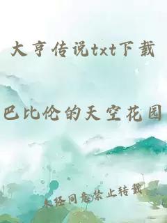 大亨传说txt下载